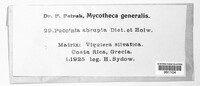 Puccinia abrupta image